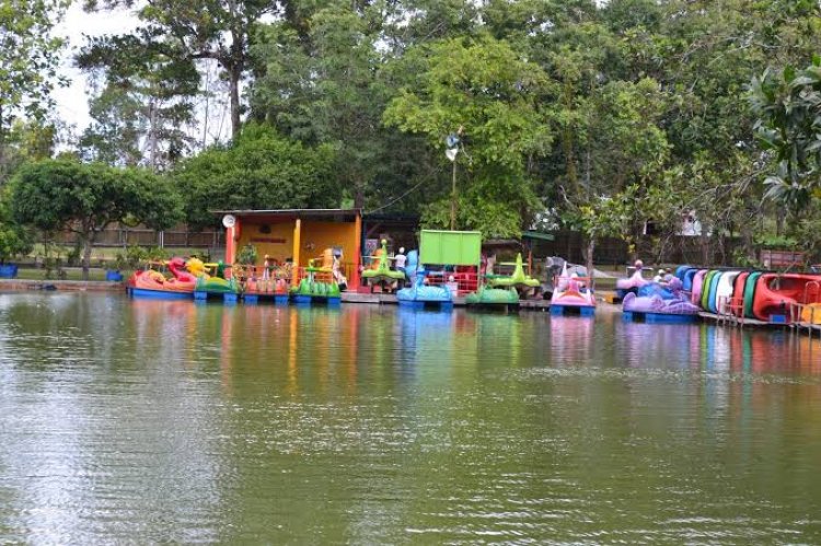 Masuk Taman Wisata Alam Mayang Pekanbaru Gratis 3 Hari