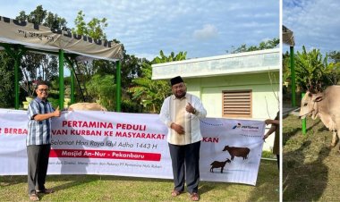 Keluarga Besar PHR WK Rokan Salurkan 216 Hewan Kurban