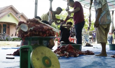 PTPN V Distribusikan 28.000 Paket Daging Bebas PMK