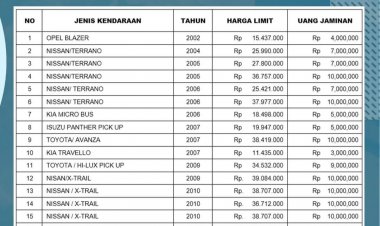 Pemprov Riau Akan Lelang 24 Unit Mobil Dinas