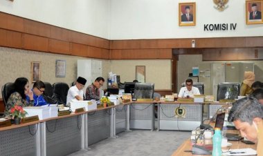 Bahas Pencapaian Anggaran 2022 dan Pencemaran Sungai, Komisi IV DPRD Riau RDP dengan DLHK