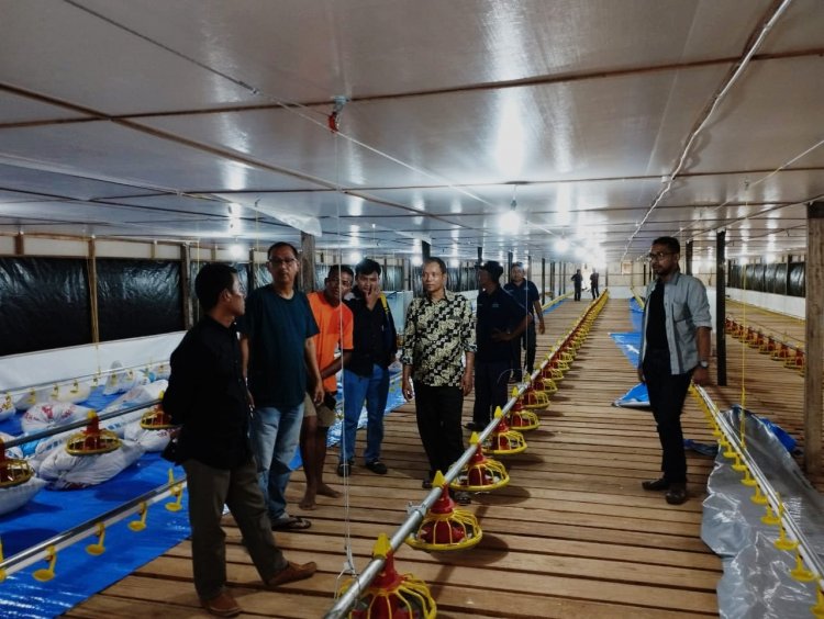 Sinergi PTPN V-PNM Perkuat UMKM Kampung Ayam Pedaging Kampar
