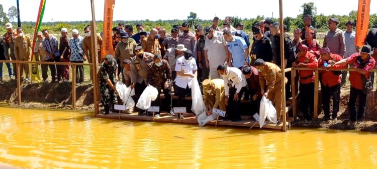 Gubri Tanam Aren dan Tebar Benih Ikan Arwana  di Rawa Seribu Rohul