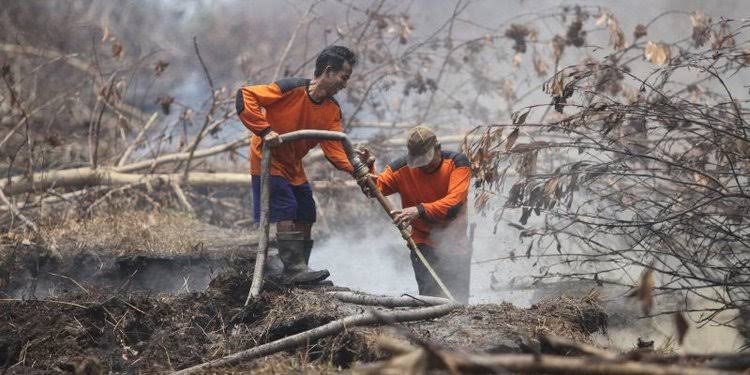 Lahan di Tiga Kabupaten di Riau Terbakar, Tim Satgas Kekurangan Helikopter