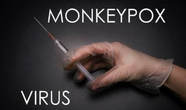 New York Tetapkan Wabah Cacar Monyet Sebagai Darurat Kesehatan