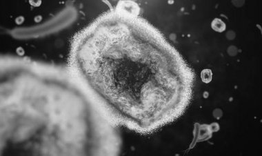 Penelitian: Virus Cacar Monyet Bisa Bertahan Lama di Berbagai Peralatan Rumah