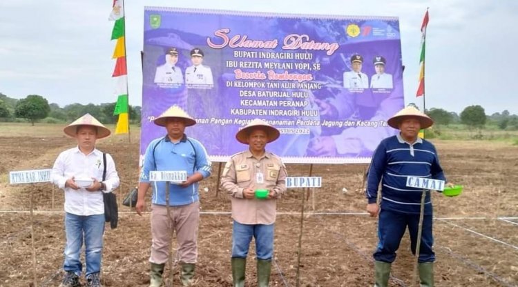 KWT Desa Baturijal Hulu Tanam Perdana Jagung dan Kacang, Bupati: Bangkitkan Ekonomi Masyarakat