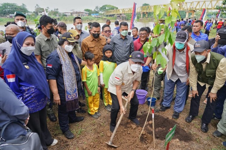 Selamatkan DAS Indragiri, Menteri LHK Tanam Pohon di Inhu