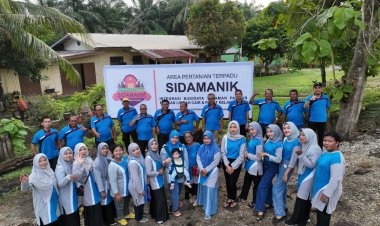 Proklim Bikin Tanjung Medan Hijau dan Nyaman