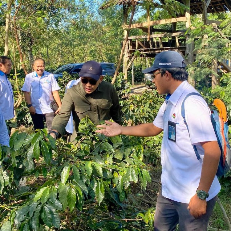 PTPN V dan PTPN XII Bersinergi Kembalikan Legenda "Kopi Jawa"