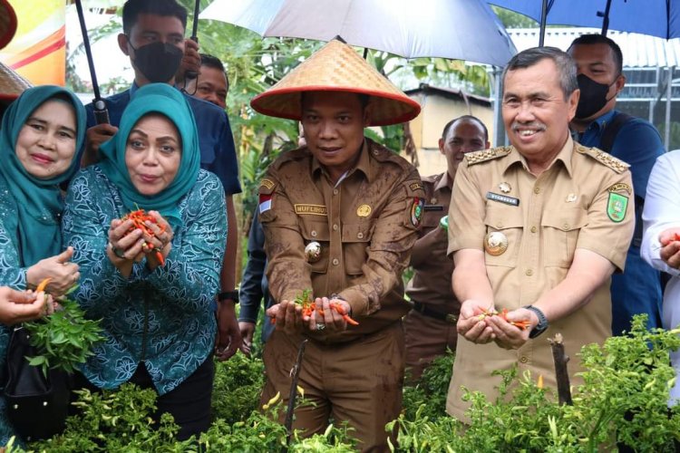 ASN Pekanbaru Didorong jadi Teladan Program Penanaman Cabai di Pekarangan Rumah