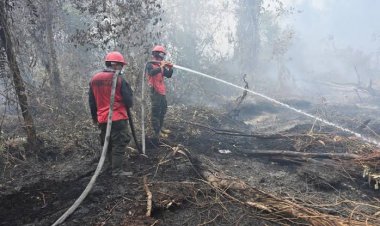 Musim Kemarau Diprediksi Datang Lebih Awal, Pemprov Riau Waspadai Karhutla