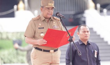 Wagubri Pimpin Upacara Peringatan HKN ke-58, Ini Tiga Pesannya Untuk Insan Kesehatan