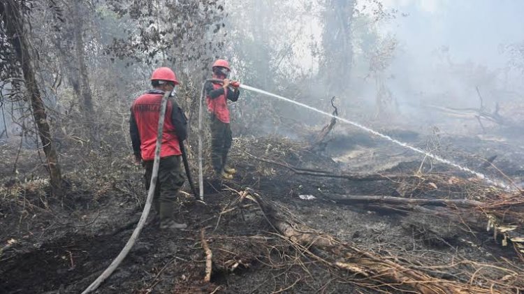 Musim Kemarau Diprediksi Datang Lebih Awal, Pemprov Riau Waspadai Karhutla