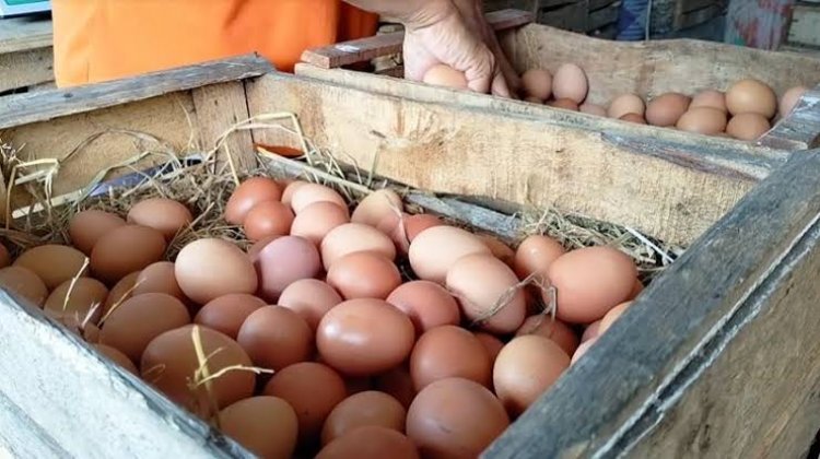 Jelang Nataru Harga Bahan Pokok di Pekanbaru Mulai Alami Kenaikan