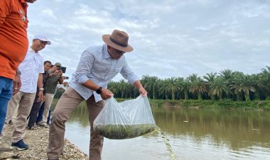 Tingkatkan Kelestarian Sungai, PTPN V Kembali Sebar Ratusan Ribu Benih Ikan