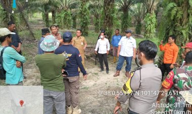 PTPN V Gerak Cepat Lindungi Karyawan dan Masyarakat Pasca Kemunculan Harimau Sumatera