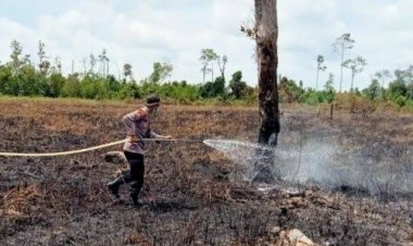 3 Daerah Di Provinsi Riau Ini Rawan Terjadi Karhutla