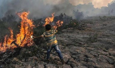 Karhutla Riau 2023, Lima Daerah Diminta Segera Tetapkan Status Siaga