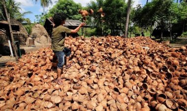 Berikut Daftar Harga Komoditi Perkebunan di Riau