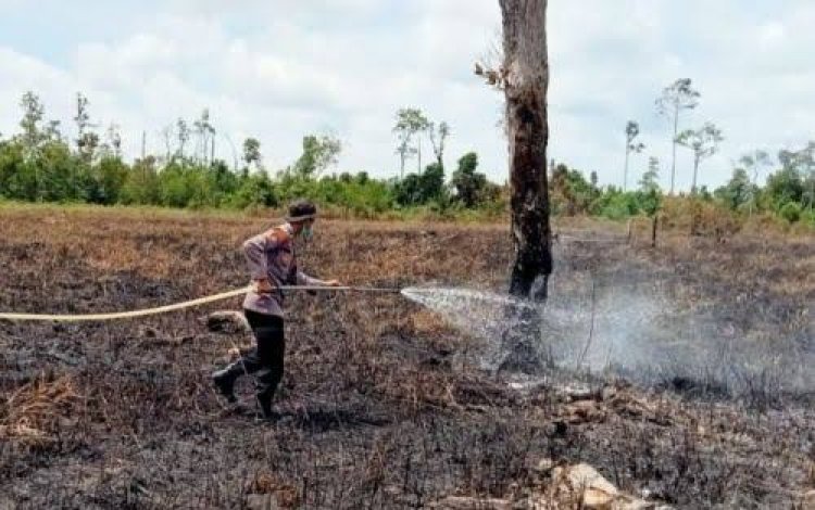 Riau Diprediksi Bakal Alami Kemarau Kering