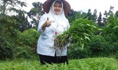 Disketapang Cek CPCL Kelompok Wanita Tani Indrayani di Bencah Lesung