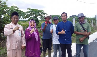 Dinas Ketahanan Pangan Gesa Pengembangan SiCantig, Ditargetkan 2025 Tuntas