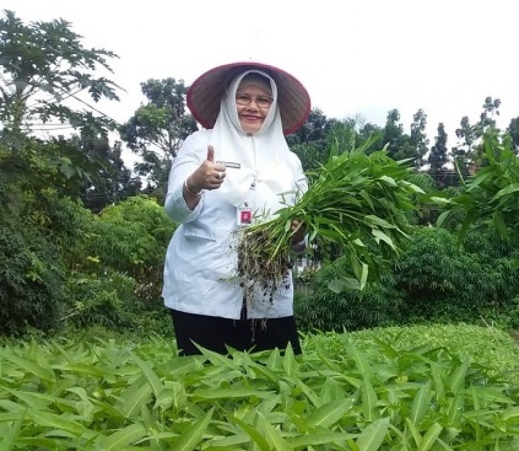 Disketapang Cek CPCL Kelompok Wanita Tani Indrayani di Bencah Lesung