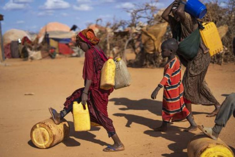 43 Ribu Orang di Somalia Meninggal Akibat Kekeringan