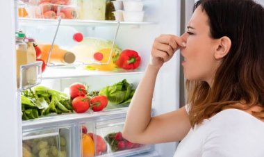 Bahan Makanan Ini Bisa Menghilangkan Bau di Kulkas Secara Alami