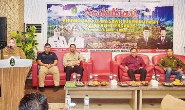 Bupati Bengkalis Minta Perkuat Sinergi dan Satukan Persepsi Dalam Program Replanting