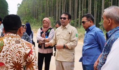 Tinjau Lahan yang Ditanami Sawit Oleh Warga, Pansus Pengelolaan Hutan Kunjungan Observasi ke KPH Sorek