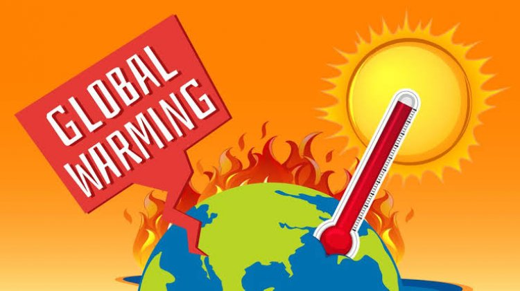 Apa Itu Pemanasan Global? Ini Penyebab, Dampak, dan Cara Menanggulanginya