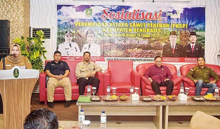 Bupati Bengkalis Minta Perkuat Sinergi dan Satukan Persepsi Dalam Program Replanting