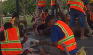 PTPN V Berbagi Keberkahan di Hari Raya Kurban