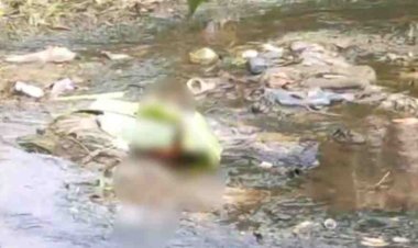 Breaking News! Mayat Bayi Kembali Ditemukan di Pekanbaru