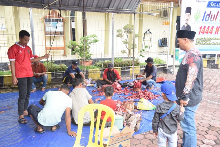 Sekretariat DPRD Bengkalis Sembelih 5 Ekor Sapi Kurban, Daging Dibagikan ke Pegawai dan Masyarakat