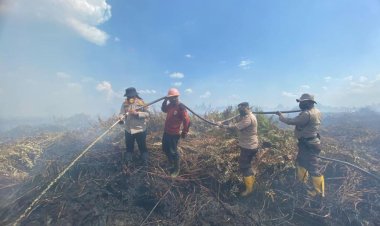 Waspadai Karhutla, 14 Hotspot Muncul di Wilayah Riau