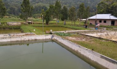 Dari Patin Wujudkan Zero Pengangguran Hingga Banjir Prestasi