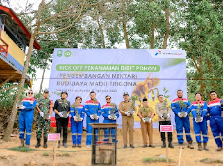 Tingkatkan Produksi Madu Trigona, Pertagas Tanam Bibit Pohon Pengembangan Nektar