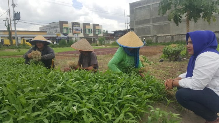 Nilai Tukar Petani Riau Naik Jadi 150,46 pada Agustus 2023