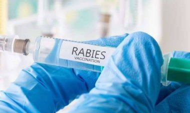 Dinas PKH Buka Vaksinasi Rabies Gratis, Ini Syaratnya..
