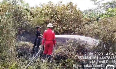 Masih Awal Oktober, Kota Pekanbaru Dilanda Karhutla di 5 Titik, BPBD Siapkan Call Center 08117651464