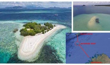 Mengenal Pulau Pasir, Pulau yang Diperebutkan Indonesia dan Australia