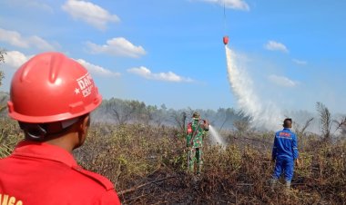 Luas Lahan Terbakar di Sungai Raya Inhu 62 Hektare, BPBD Riau Kerahkan Helikopter Water Bombing Super Puma dan Sikorsky