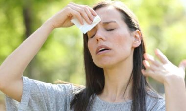 Tak Cuma Kulit, Ini 5 Organ Paling Rawan Selama Cuaca Panas