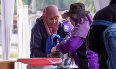 Dinas Pertanian dan Perikanan Pekanbaru Vaksin 150 Ekor Hewan Peliharaan