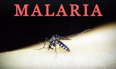 Penyakit Malaria di Desa Kuala Selat Inhil Meningkat dari 22 Jadi 128 Kasus
