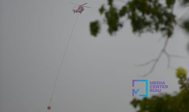 BPBD Riau Ajukan Kembali TMC Hujan Buatan ke Pemerintah Pusat, Kualitas Udara Tidak Sehat