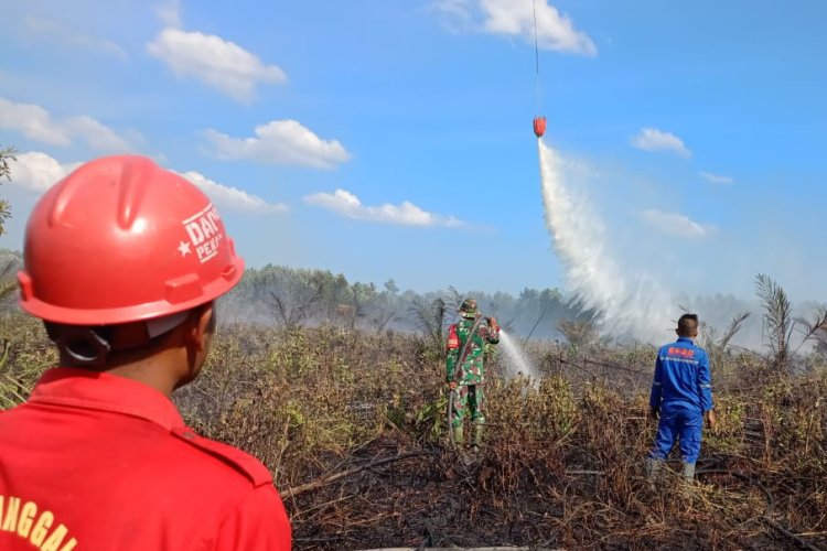 34 Orang Pelaku Karhutla di Riau Berhasil Diringkus Polda Riau dan Jajarannya, Ini Rinciannya